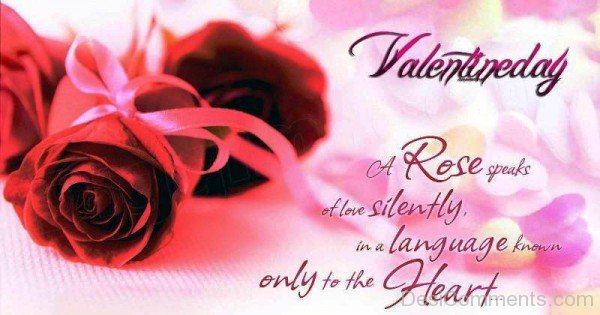 A Rose Speaks Of Love Silently