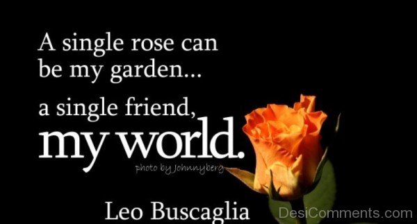 A single rose can be my garden  a single friend my world-DC018