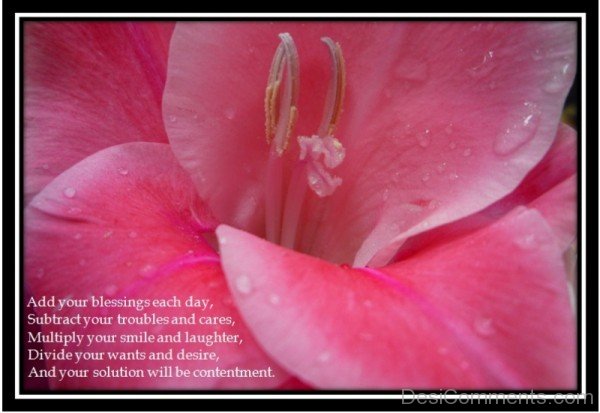 Add Your Blessings Each Day