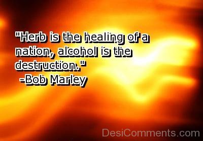 Alcohol Is The Destruction