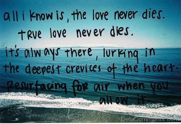 All I Know Is The Love Never Dies-ytq205IMGHANS.COM44