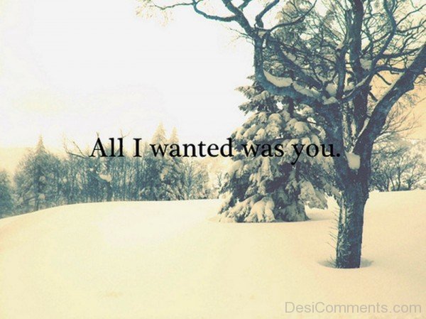 All I Wanted Was You