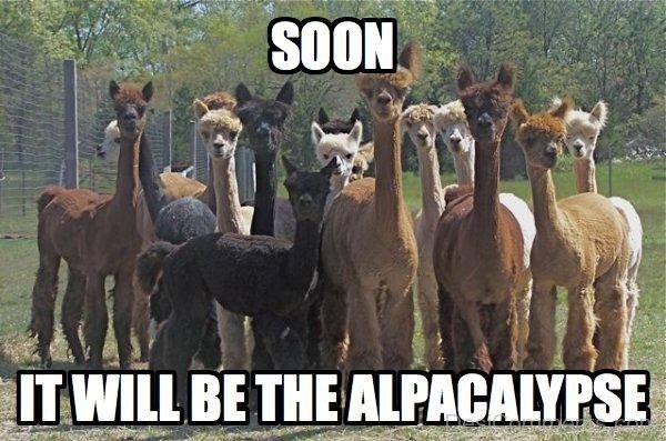 Alpacalypse