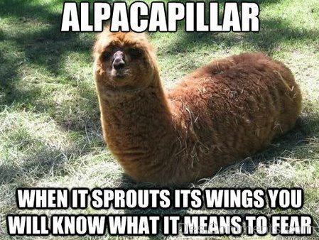 Alpacapillar