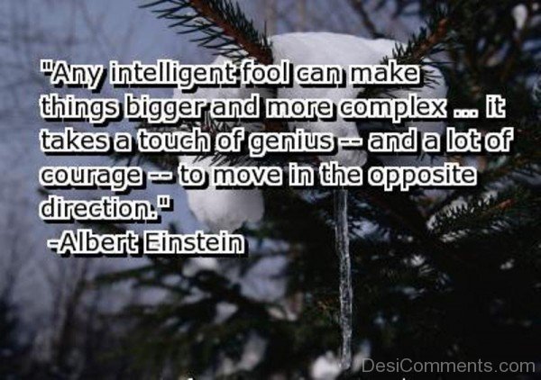 Any Intelligent Fool Can Make Things Bigger And More Complex-DC011