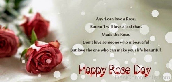 Anyone Can Love A Rose