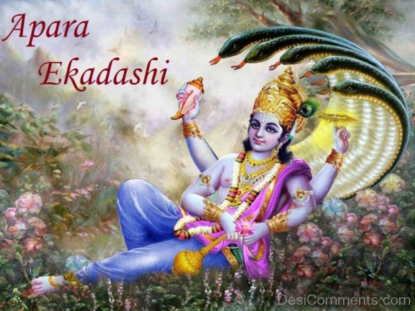 Apara Ekadashi Image