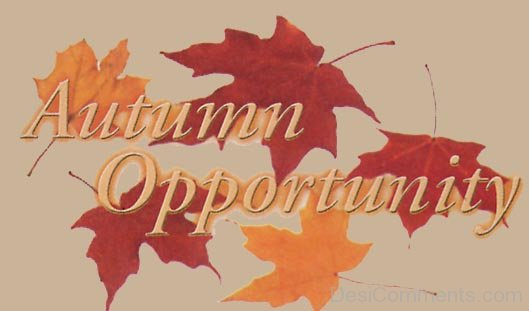 Autumn Opportunity