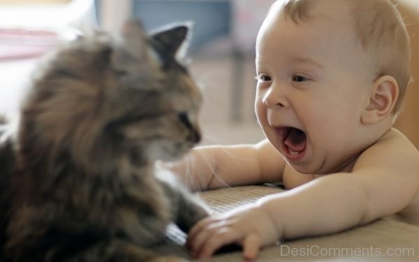 Baby And Cat