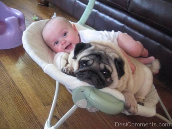 Baby And Dog