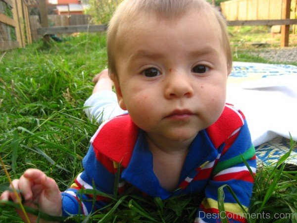 Baby Boy Lying on Grass