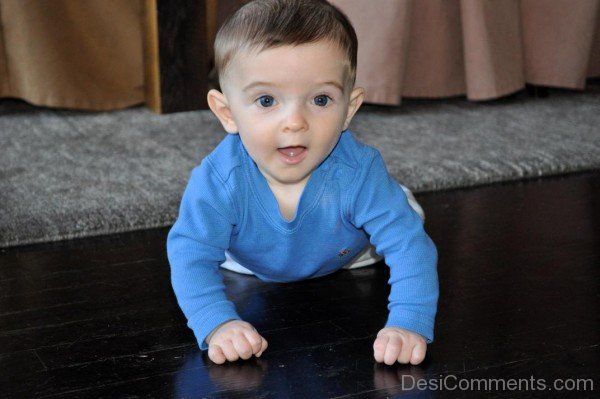 Baby Crawling Picture