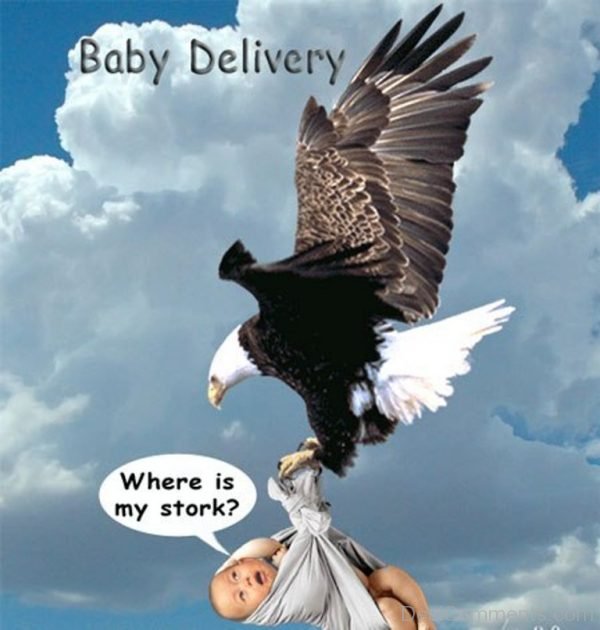 Baby In Courier-012