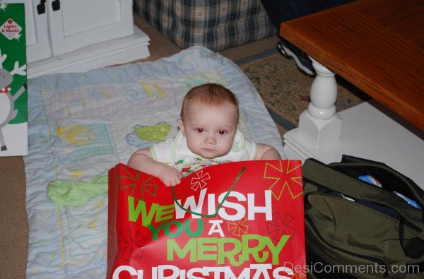 Baby Sitting In Bag