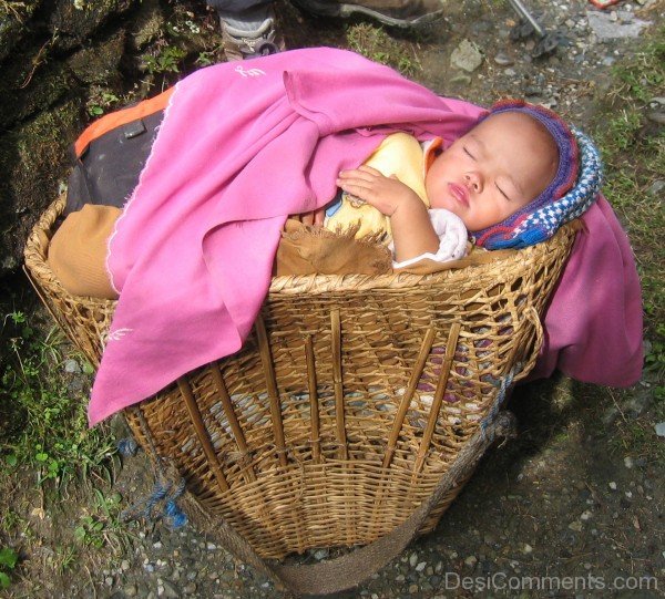 Baby Sleeping In A Bucket