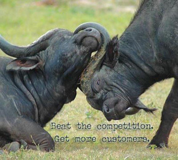 Beat The Competition Get More Customers-DC033