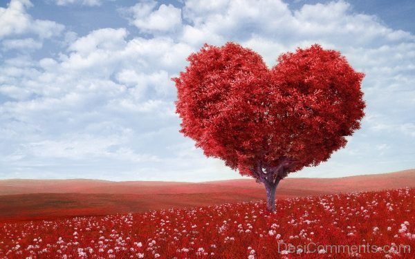 Beautiful Heart Shaped Tree