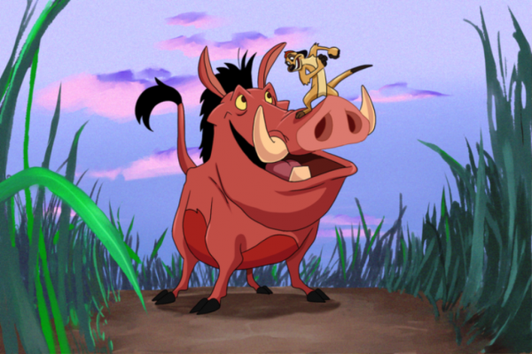 Beautiful Picture Of Timon And Pumbaa