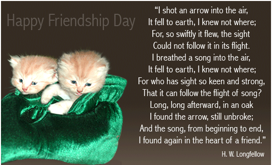 Beautiful Wording For Friend In Friendship Day