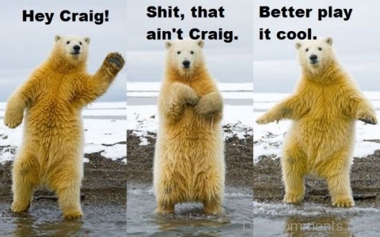 Better Play It Cool