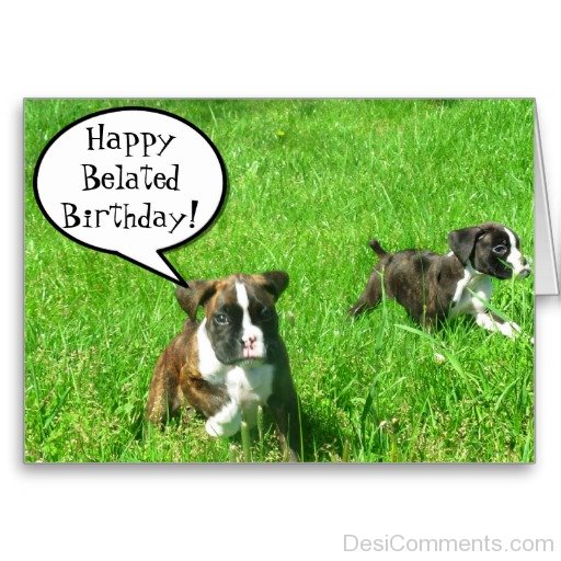 Boxer Pups Wishes You Belated Birthday