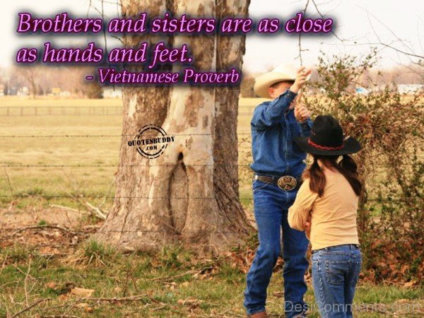 Brothers And Sisters
