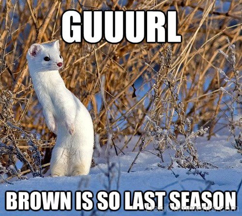 Brown Is So Last Season