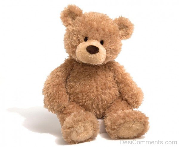 Brown Teddy  Bear
