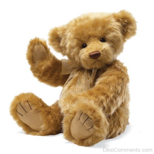 Brown Teddy Bear Image