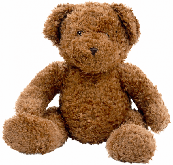 Brown Teddy Bear Photo