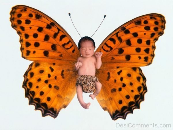 Butterfly Baby-DC16