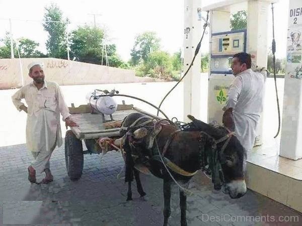 CNG Gas Driven Funny Donkey