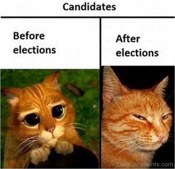 Candidates Before And After Elections