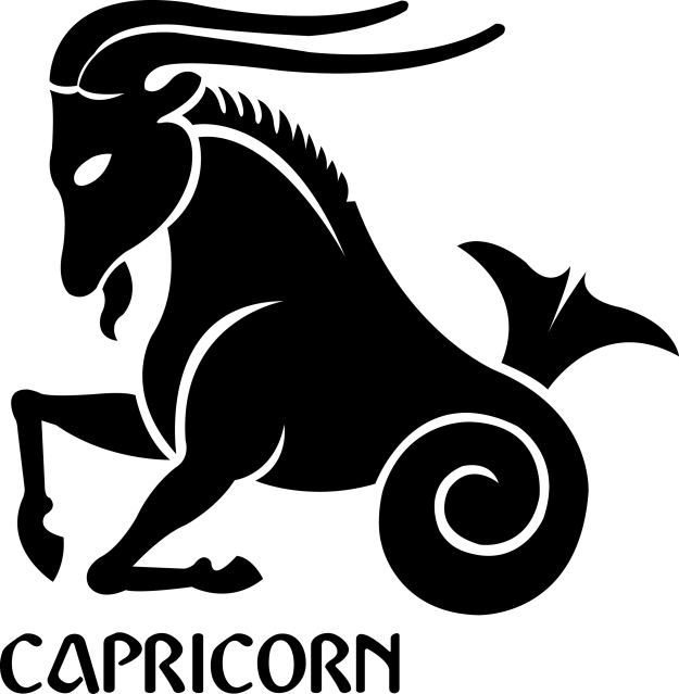 Capricorn Zodiac Symbol 
