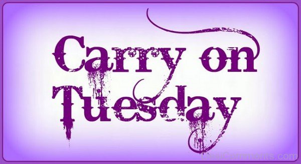 Carry On Tuesday Picture
