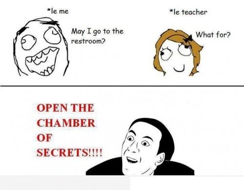Chamber Of Secrets Chamber Of Secrets