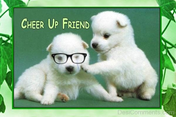 Cheer Up – friend-Cute Pups