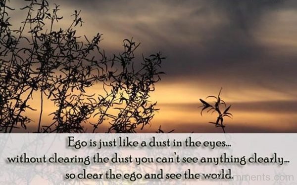 Clear The Ego And See The World -DC06