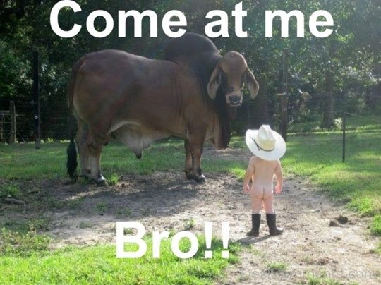 Come At Me Bro