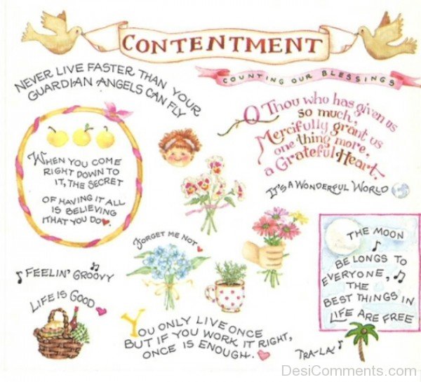 Contentments-DC028