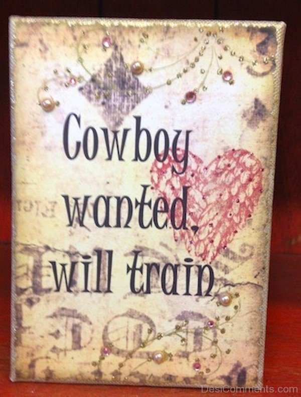 Cowboy Wanted Will Train