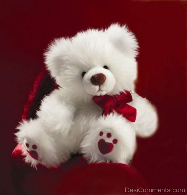 Cute teddy Bear Picture