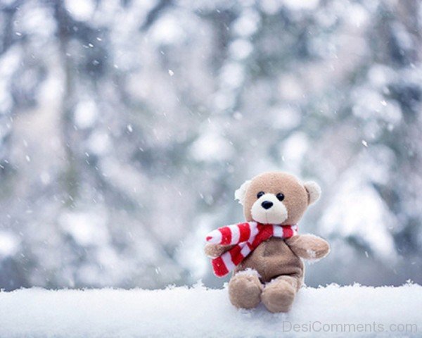 Cute Teddy Bear In Snow