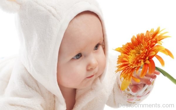 Dashing Baby With Flower