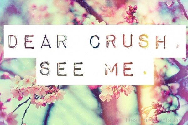 Dear Crush See Me-dc03Desi28