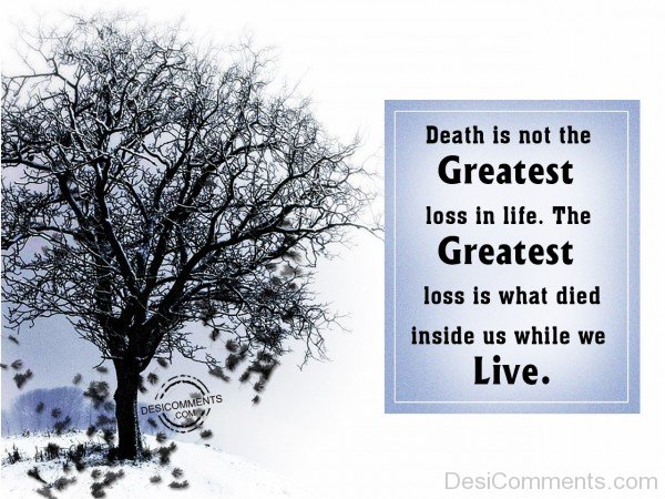 Death Is Not The Greatest Loss In Life
