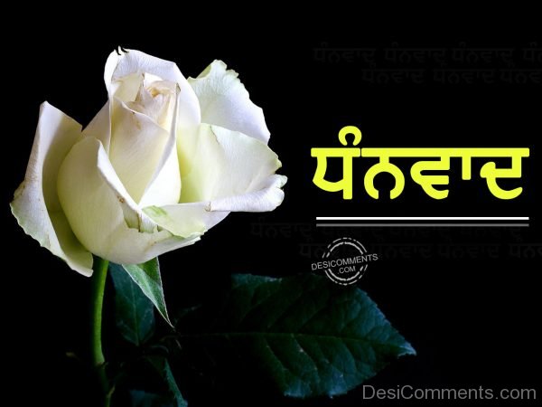 Dhanwaad with white flower