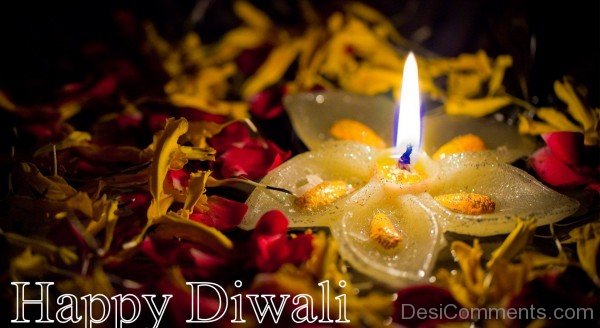 Diwali Celebrations-DC936DC30