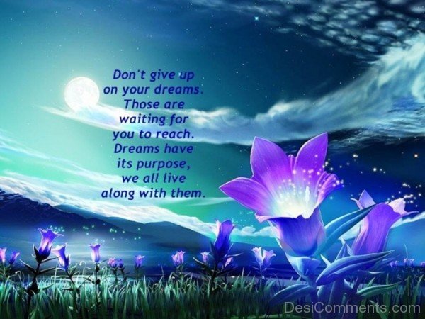 Do Not Give Up On Your Dreams-DC06522