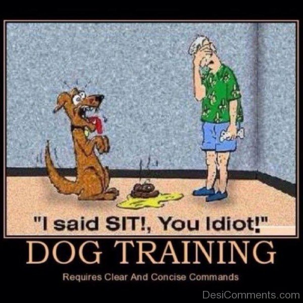 Dog Training